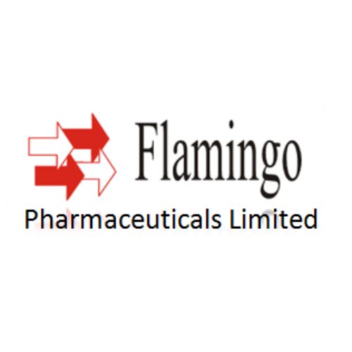 xr:d:DAFlTyU_8nw:6,j:7210655874050727728,t:23060908